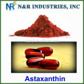 100% Astaxanthinpulver 2% ~ 5% UV / HPLC